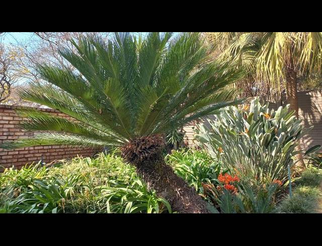 3 BEDROOM HOUSE FOR SALE IN DASPOORT